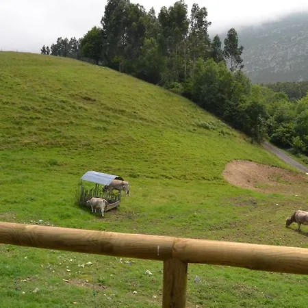 Ruiloba Ii ريباذيسييّا